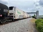 TPIX 3131